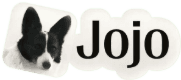 Jojo